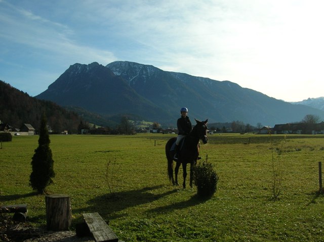 Der Sarstein 1850m hoch im Hintergrund